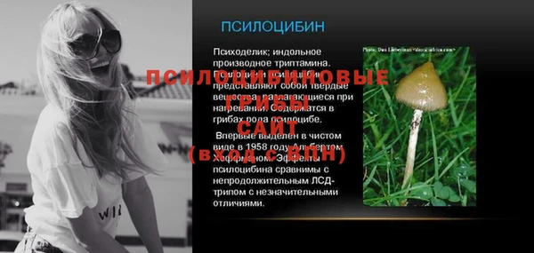 индика Богородск
