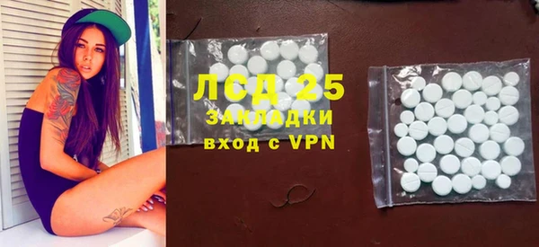 индика Богданович