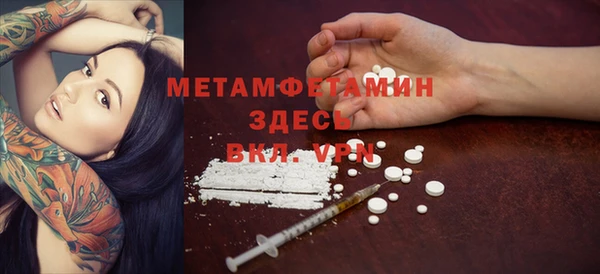 индика Богданович