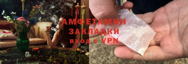 индика Богородск