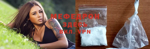 индика Богородск