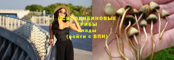 мефедрон Богородицк