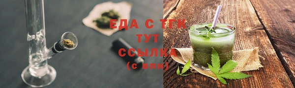 индика Богородск