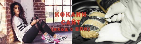 индика Богородск