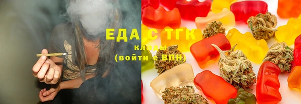 индика Богородск