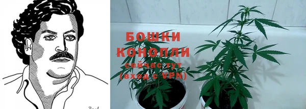 индика Богданович