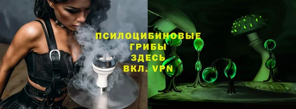индика Богданович