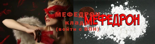индика Богданович