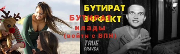 индика Богданович