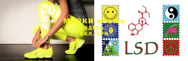 индика Богданович