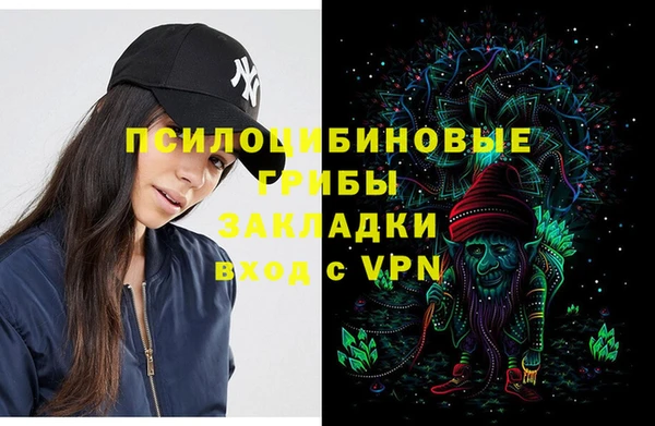 индика Богородск