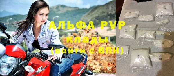 индика Богданович