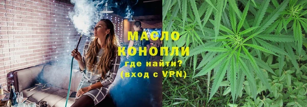 индика Богородск
