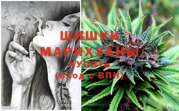 индика Богданович