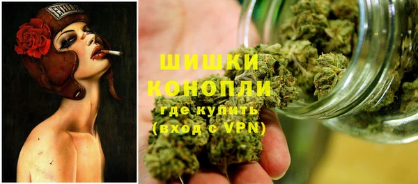 индика Богородск
