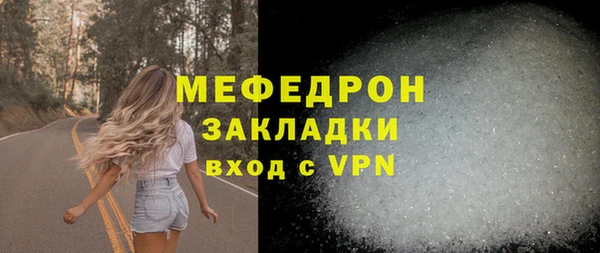 индика Богородск