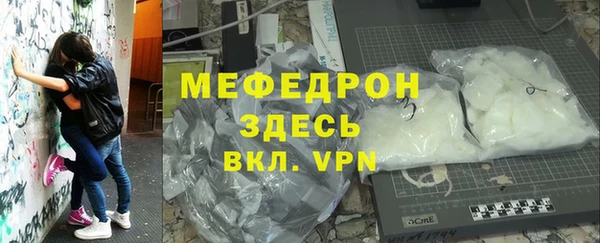 индика Богородск