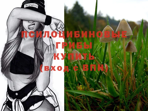 индика Богданович