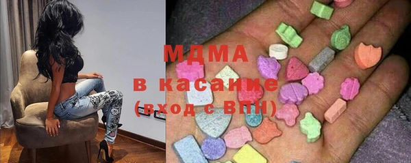 индика Богородск