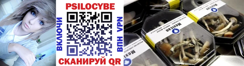где продают   Межгорье  Галлюциногенные грибы GOLDEN TEACHER 
